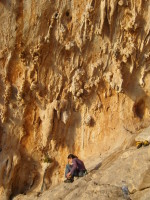 SNV80272.JPG